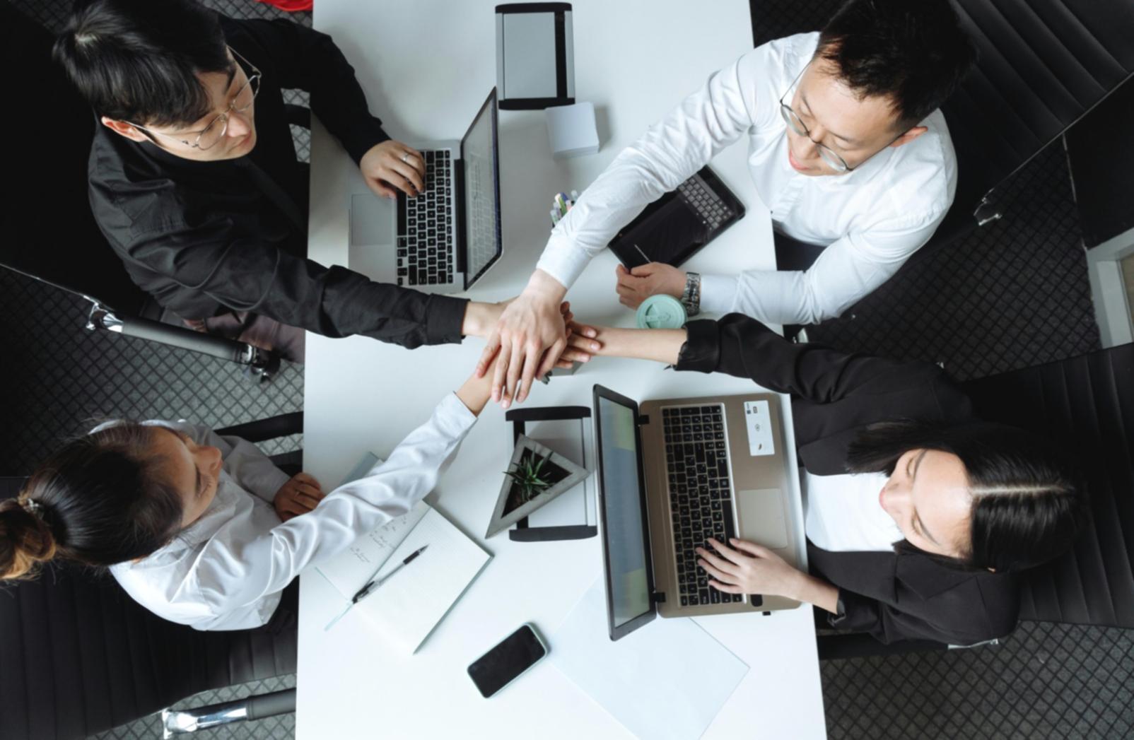 Professional learning environment with digital reputation management tools